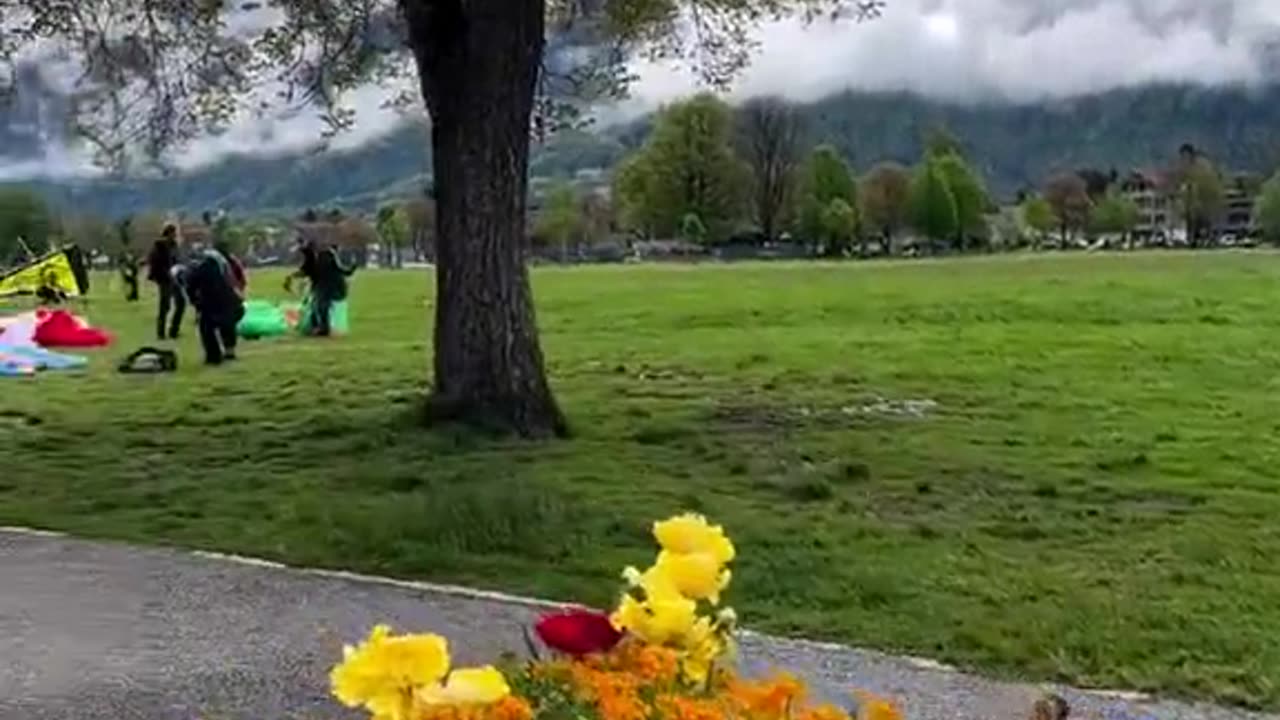 Nature lover