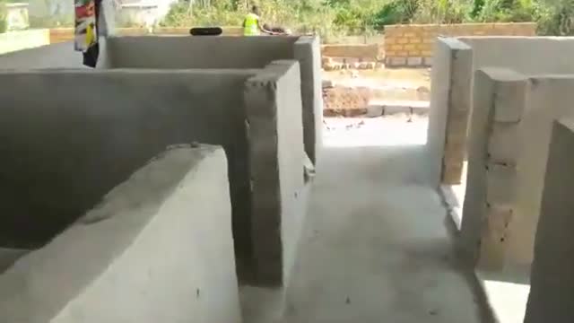 Building of an economic pigsty