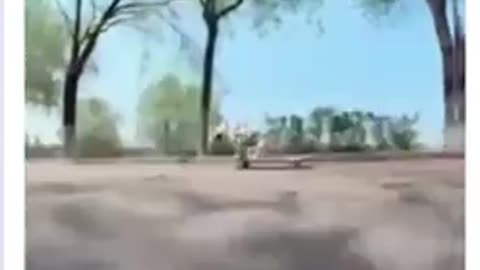 Go doG Go!!