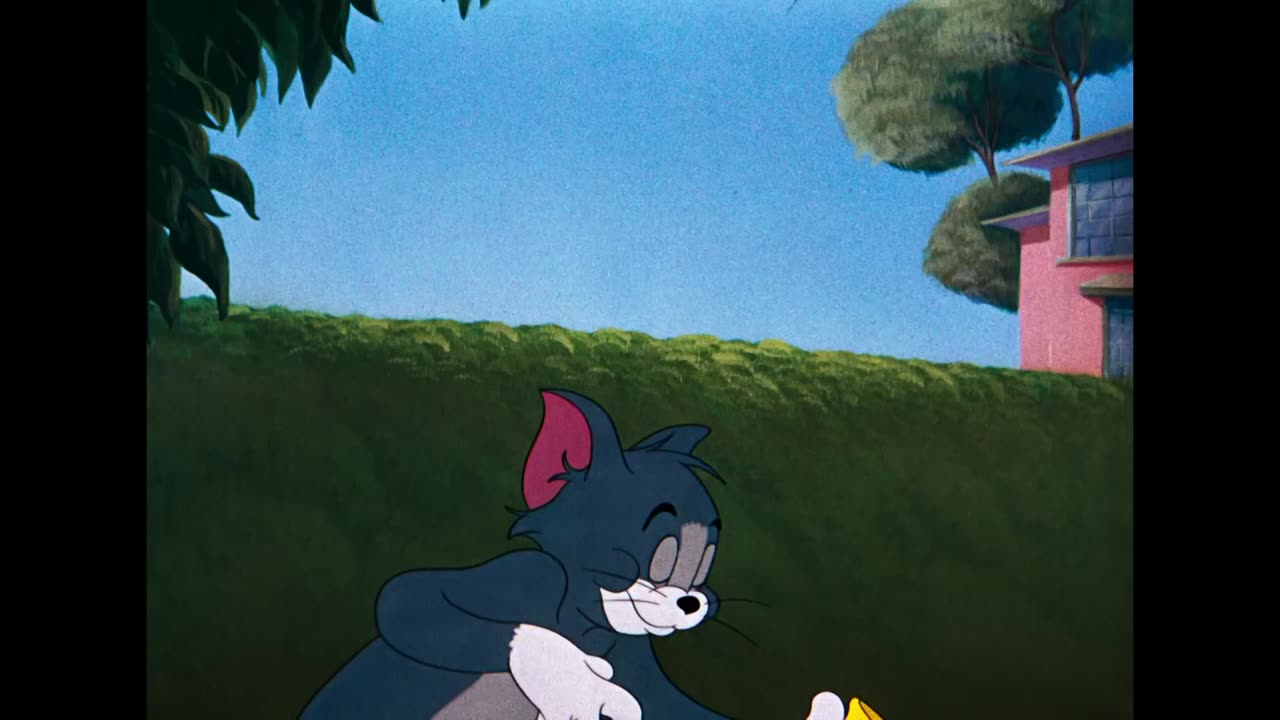 Tom and Jerry cartoon