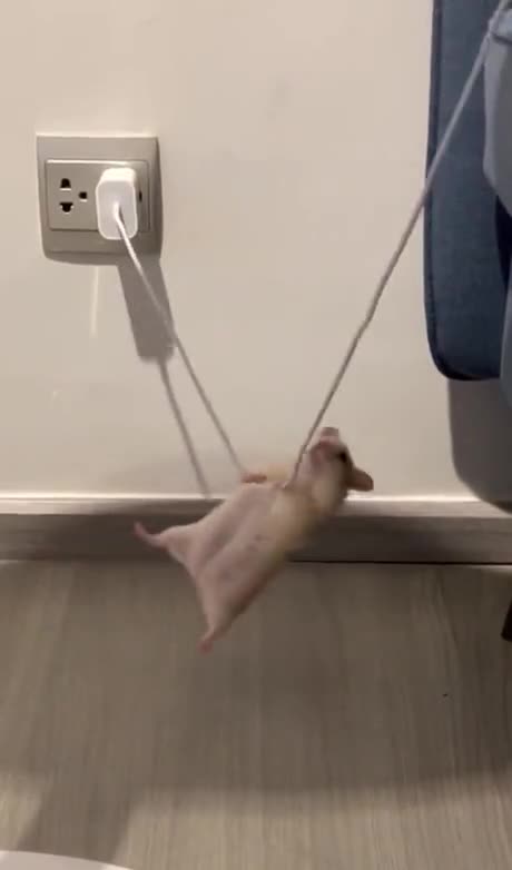 No need to join a gym 🤣🤣🤣