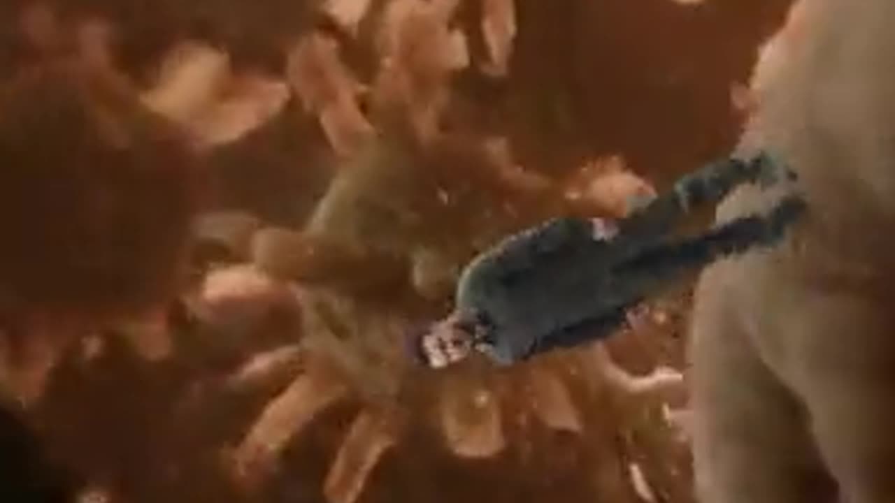drefanzor memes -zelenski
