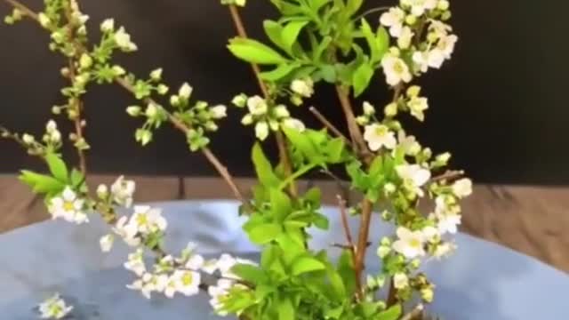 Simple flowers