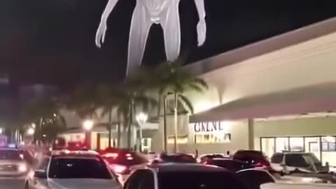 👽 Miami Mall 👽