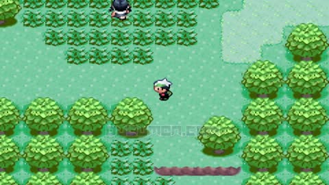 Pokemon Emerald Open - GBA Open World Game, you can play without a story, no forcing trainer battles