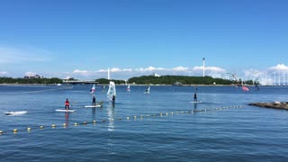 Windsurfing Beginners