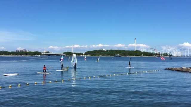 Windsurfing Beginners