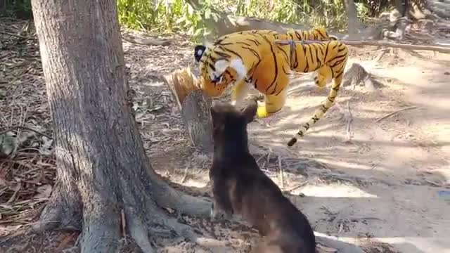 Wow Nice Funny!!! Fake Tiger Prank Dog Run Try To Stop Laugh Challenge 2021