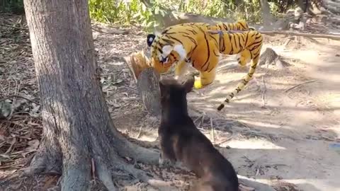 Wow Nice Funny!!! Fake Tiger Prank Dog Run Try To Stop Laugh Challenge 2021
