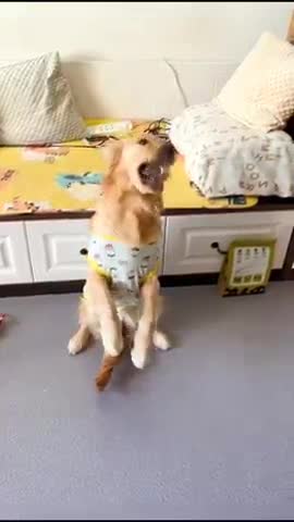 This is called surpassing oneself!