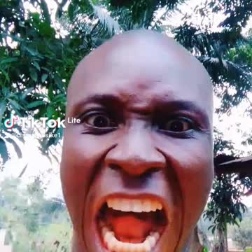 Comedy and funny animals