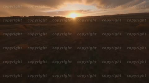 Flying drone over green fields in sunset