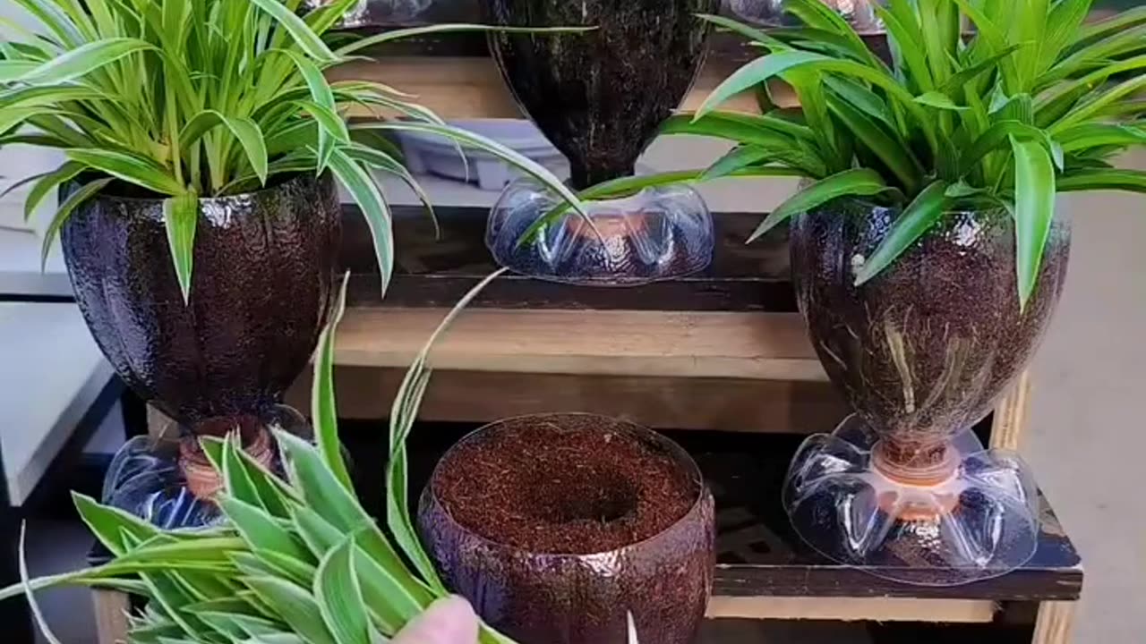 pot from plastic bottle