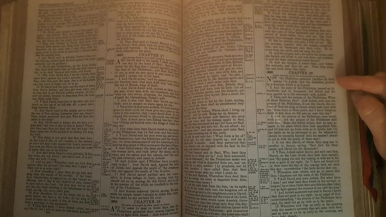 1 Samuel 29