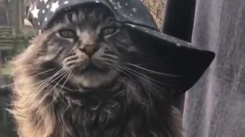 However long the night, the dawn will break