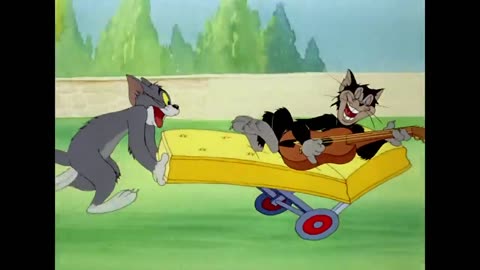 Tom and Jerry cartoon