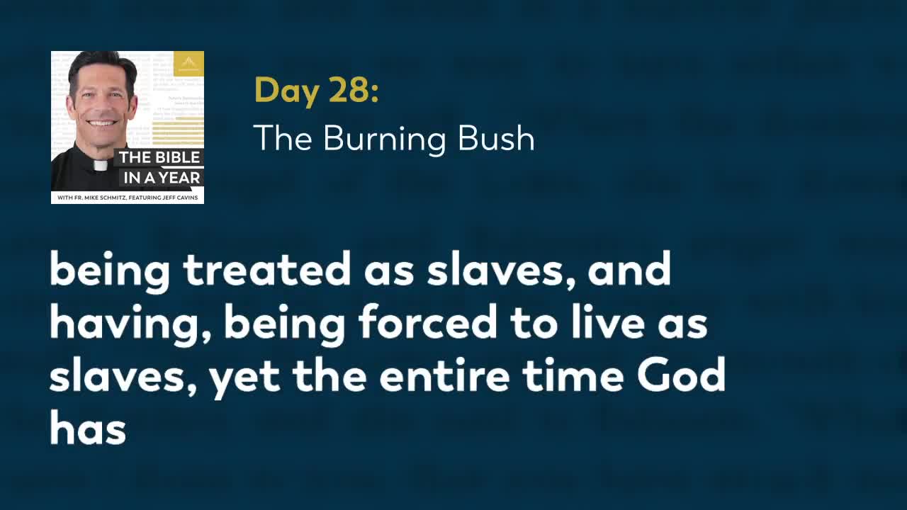 Day 28: The Burning Bush — The Bible in a Year (with Fr. Mike Schmitz)
