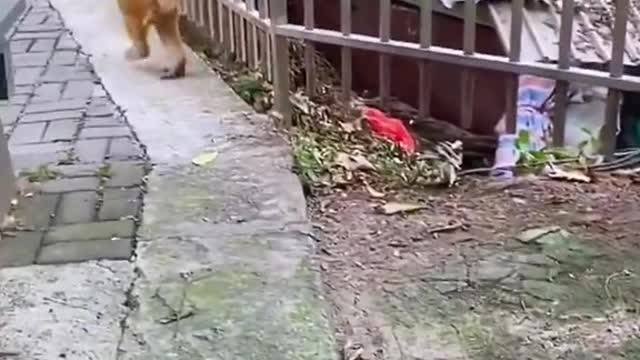 bro took some 4 his mate