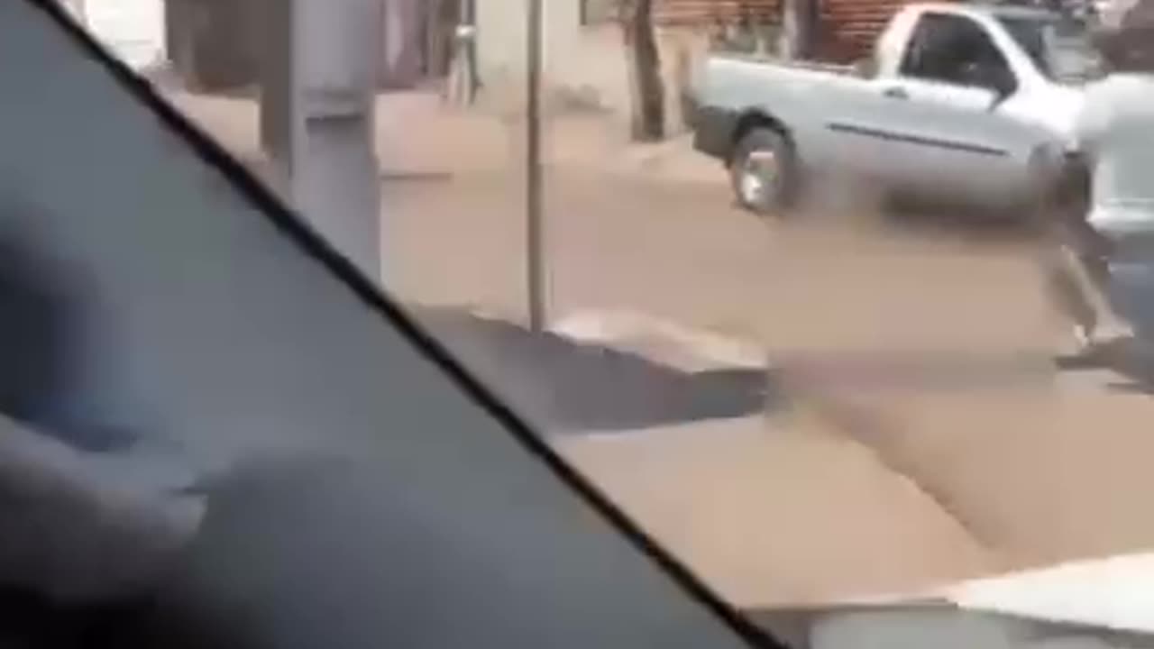 Idoso arrasta gato
