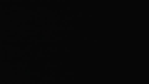 2901LHOB01XrayMainEntrance_2021-01-05_02h20min00s857ms.mp4