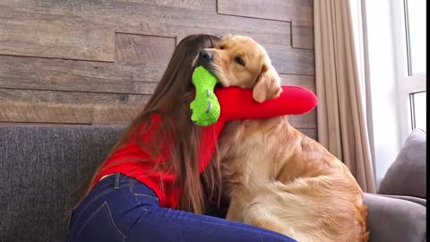 What Hugging With a Clingy Golden Retriever Looks Like...