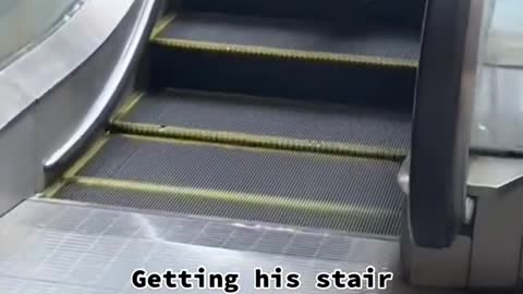 Getting his stair workout in