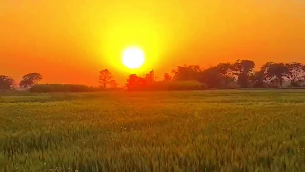 Nature to morning 🌅🌅🌅