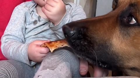 Dog was in the mood of fun :)