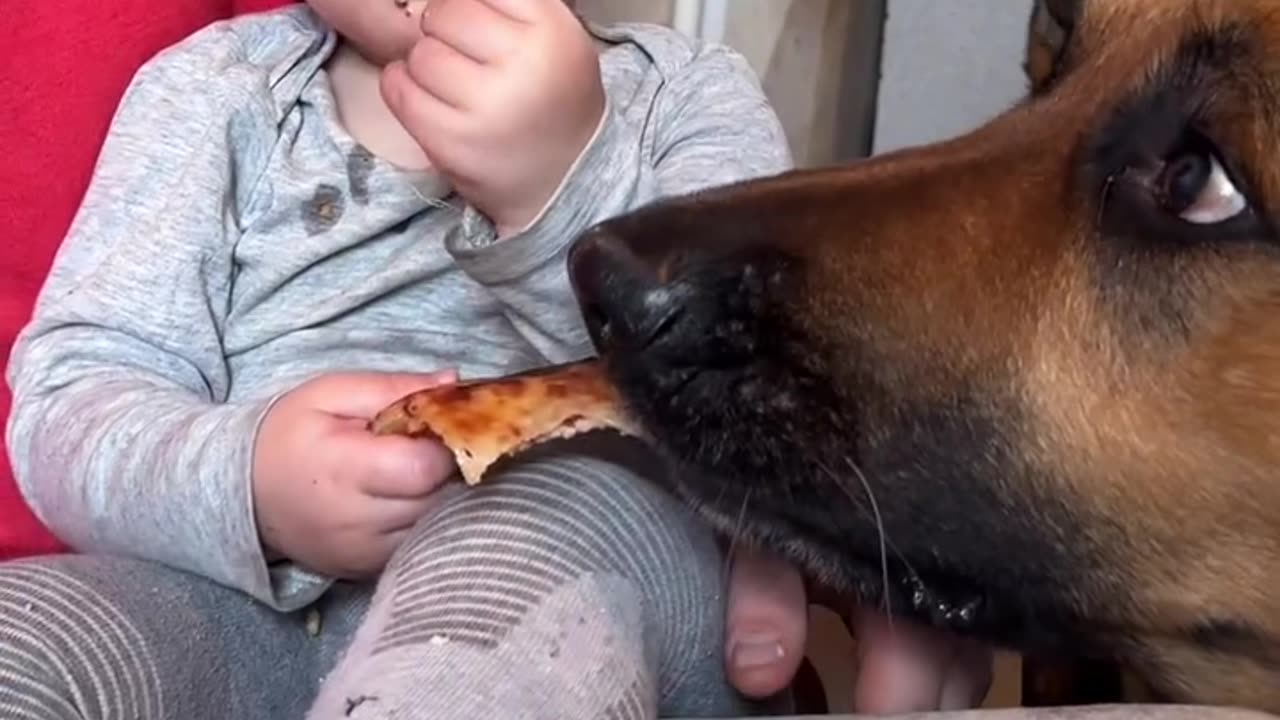 Dog was in the mood of fun :)