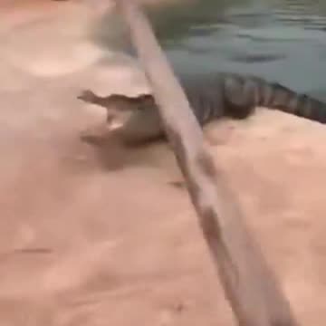 That Guy Has A BackBone!