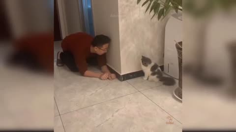 Mind blowing Cat Funny video 🤣🤣🤣🤣