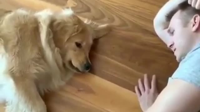 Totally exhausted but still wants to play