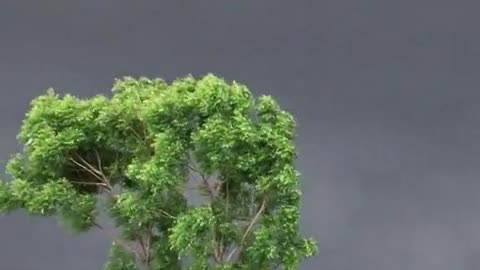 Beauty of Nature