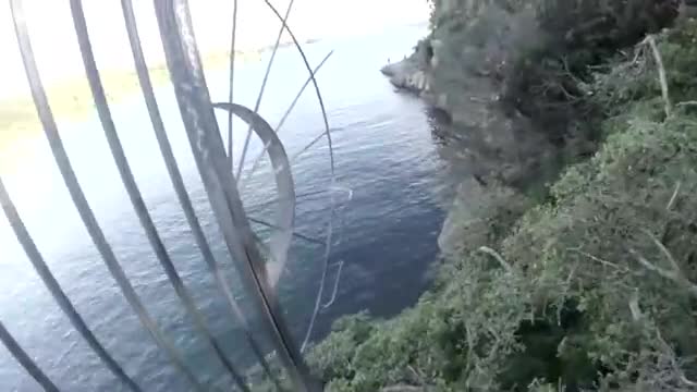 GoPro: Man Fights Off Great White Shark In Sydney Harbour