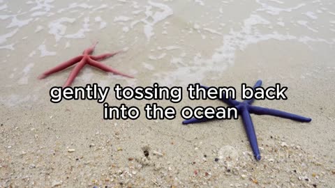 One Simple Act That Changed Everything 🌊 | The Starfish Story