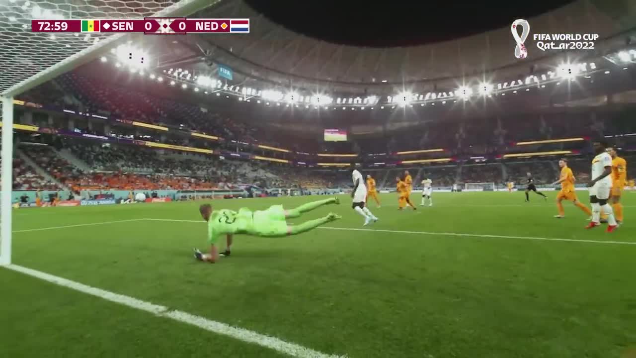 Match Highlights - Senegal 0-2 Netherlands - FIFA World Cup Qatar 2022 | JioCinema & Sports18