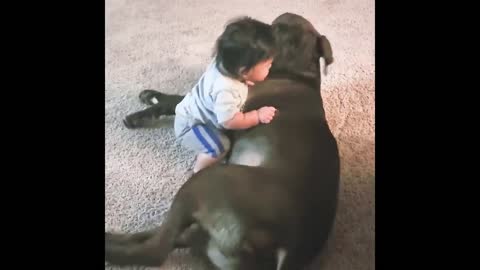 A pet dog can always make a baby laugh