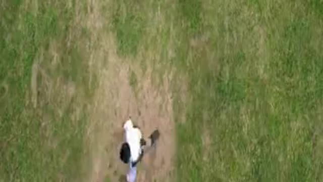 Catching Mother Cobra and her Cubs in the Garden - Snake Catchers