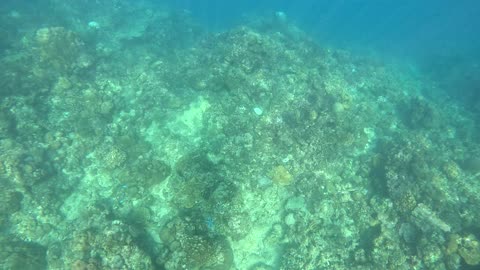 Snorkeling in Jasaan, Misamis Oriental, Philippines