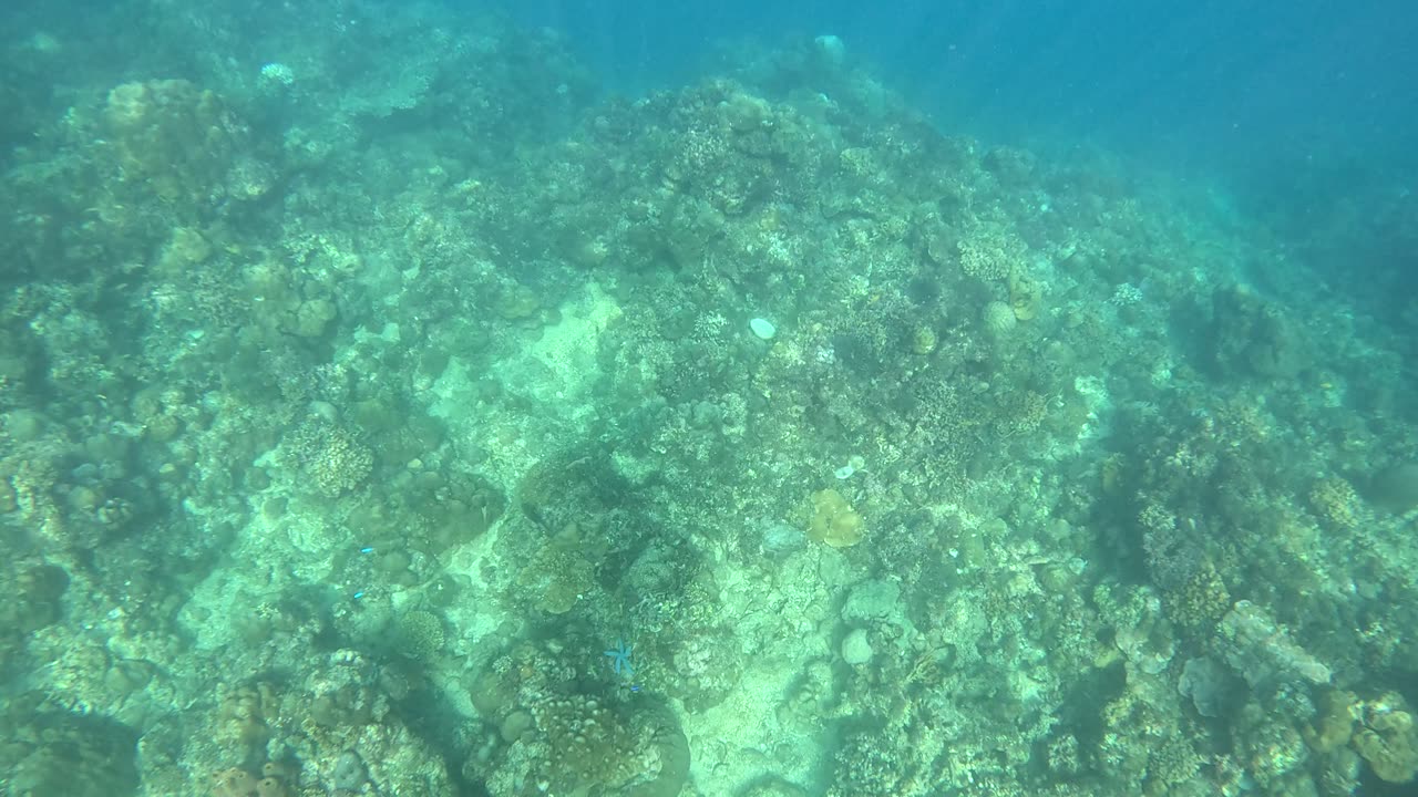 Snorkeling in Jasaan, Misamis Oriental, Philippines