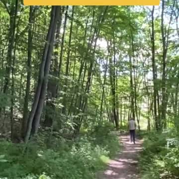 WHAT’S YOUR CHOICE?