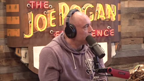 Dogs NEED To Be Trained! Joe Rogan & Ms. Pat #jre