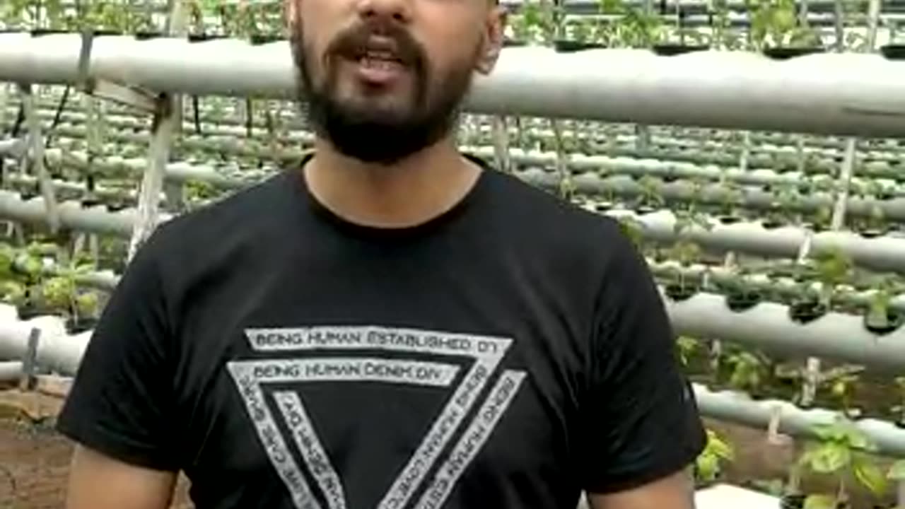 Hydroponic farming