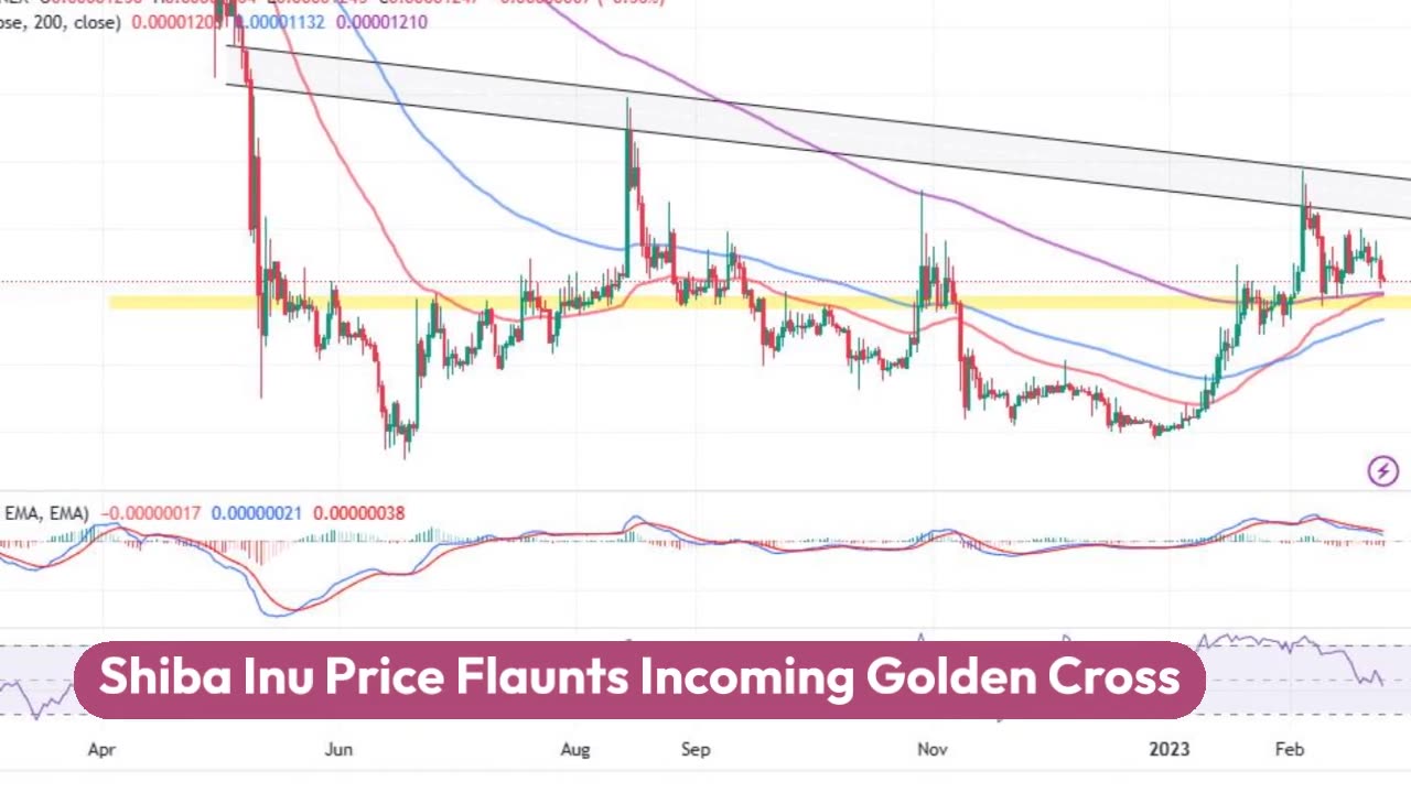 Shiba Inu Price Prediction as $300 Million Trading Volume Comes In – Is It Time to Buy?