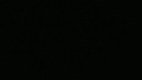 Dumb Lozah Urban Disciples is pt 2