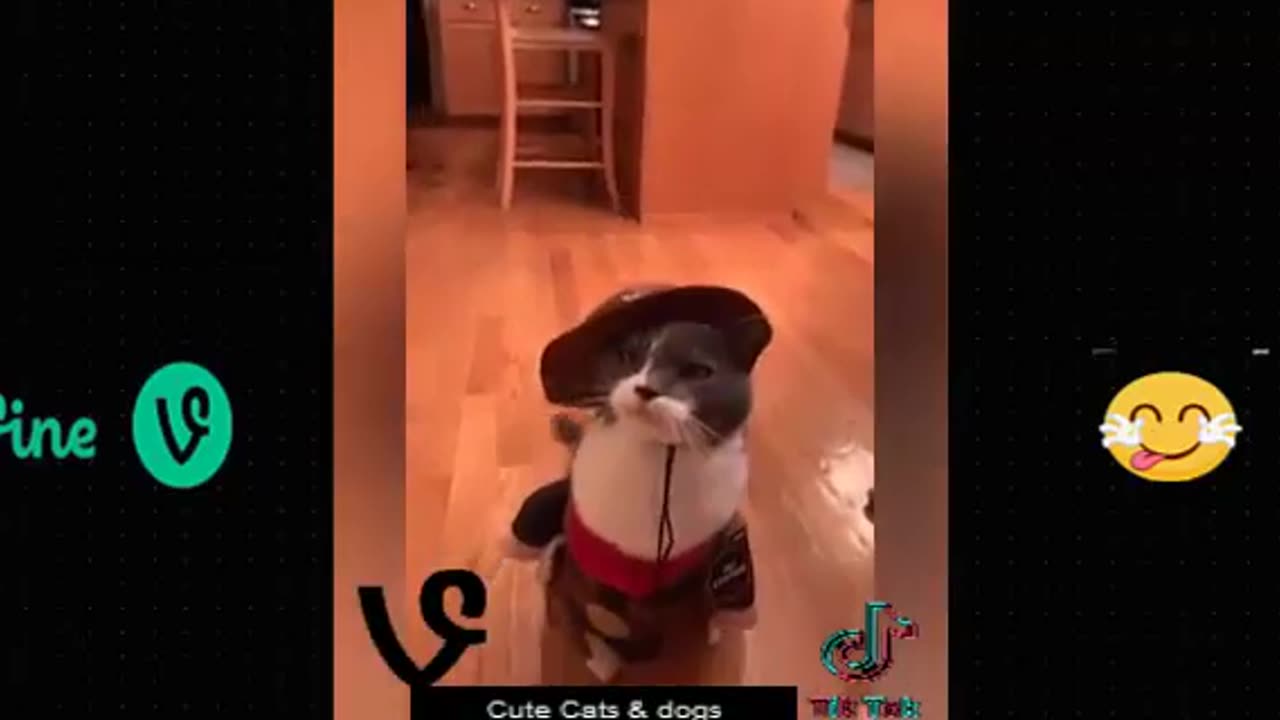Very Funny videos 🤣😁😛