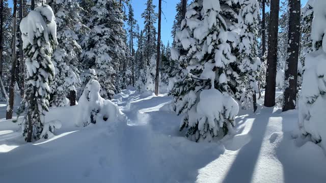 Hallucinating Snowmen – Central Oregon – Swampy Lakes Sno-Park – 4K