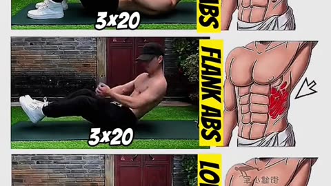 abdomen abs upper abs flank abs lower abs abdomen abs workout