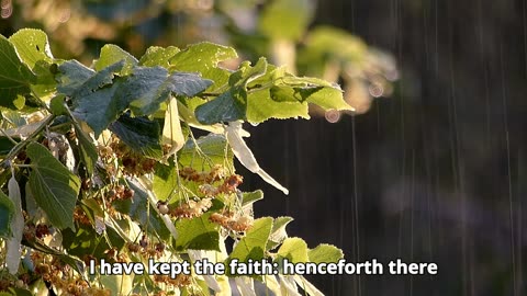Timothy 2 Chapter 4