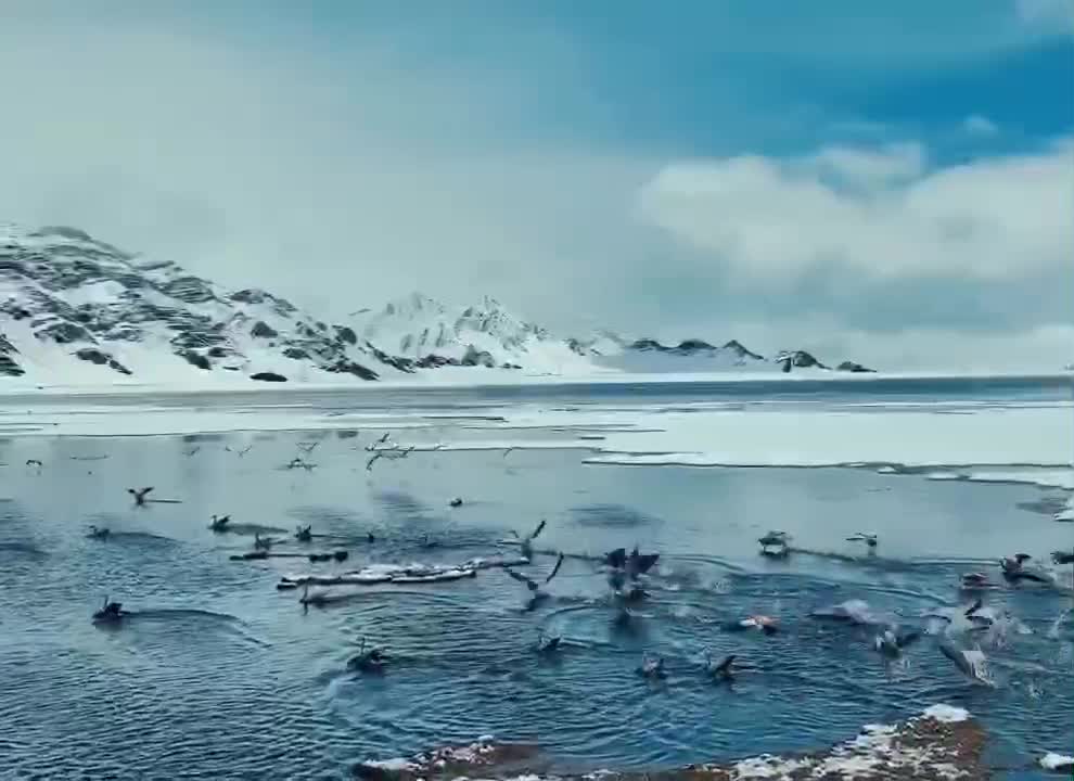 open sea